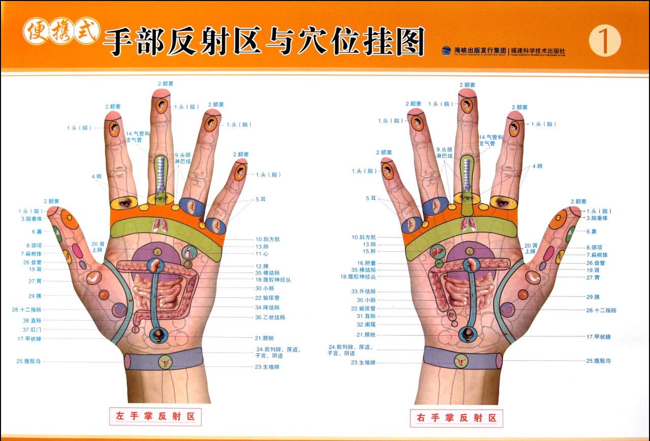 經(jīng)絡(luò)多久疏通一次好？
